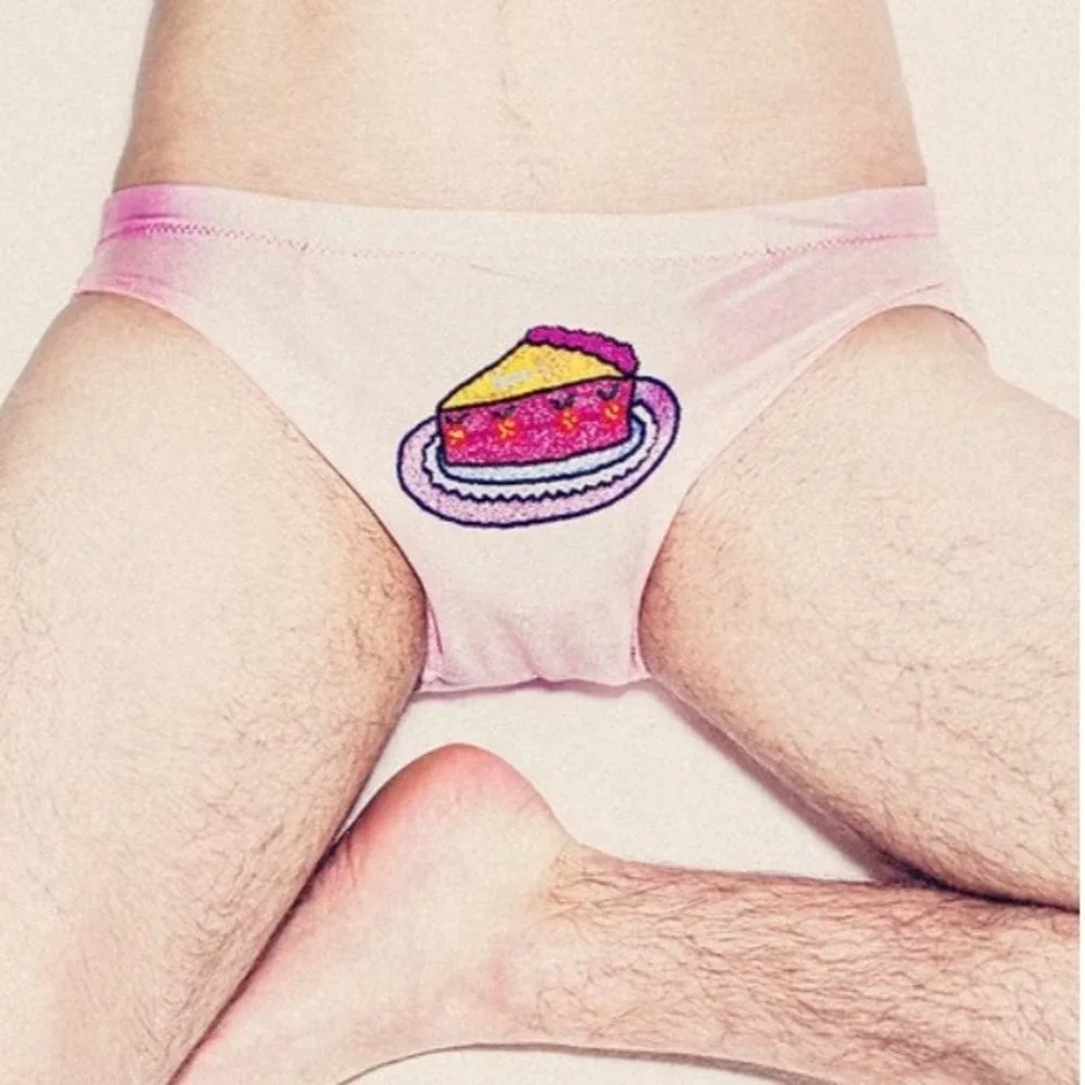 Lazoschmidl Adrian Cake Speedos Pink Embroidered Swim Briefs Small